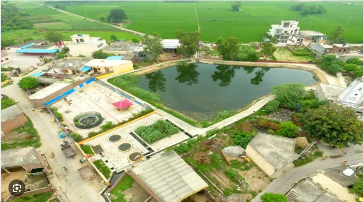 Modal Pond work